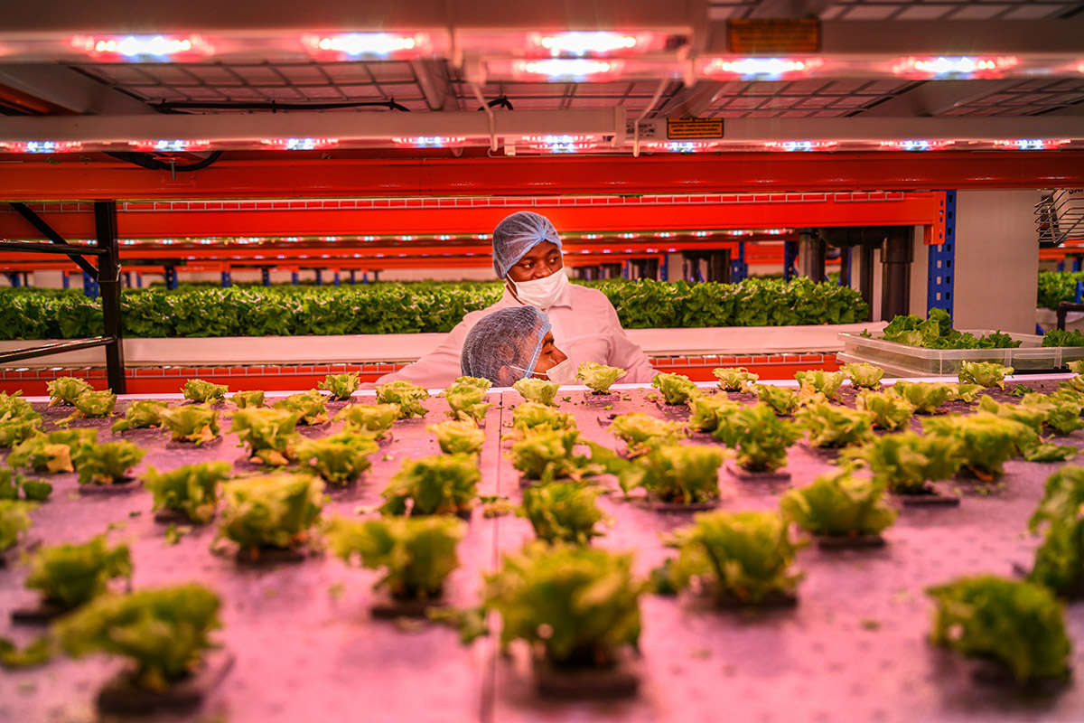 Kadir van Lohuizen, Food for thought