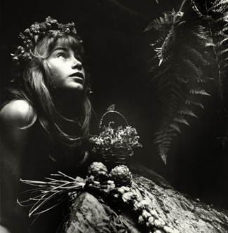 Old dreams, New dreams