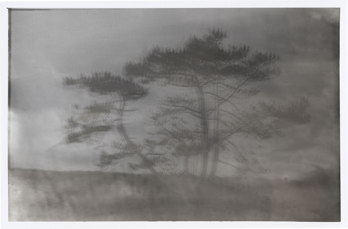 Elizabeth Alderliesten