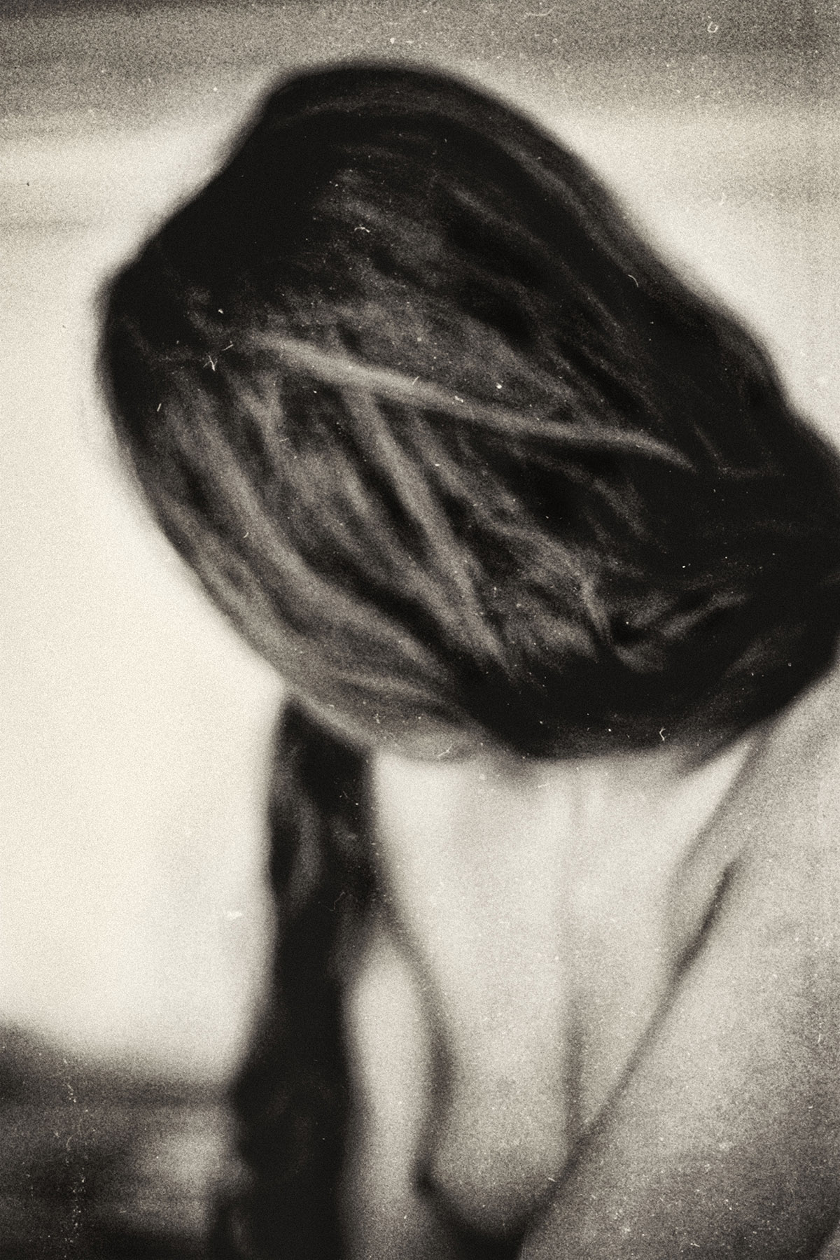 Elizabeth Alderliesten