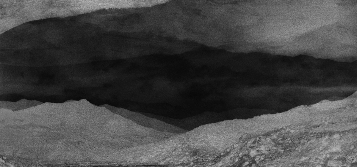 Elizabeth Alderliesten