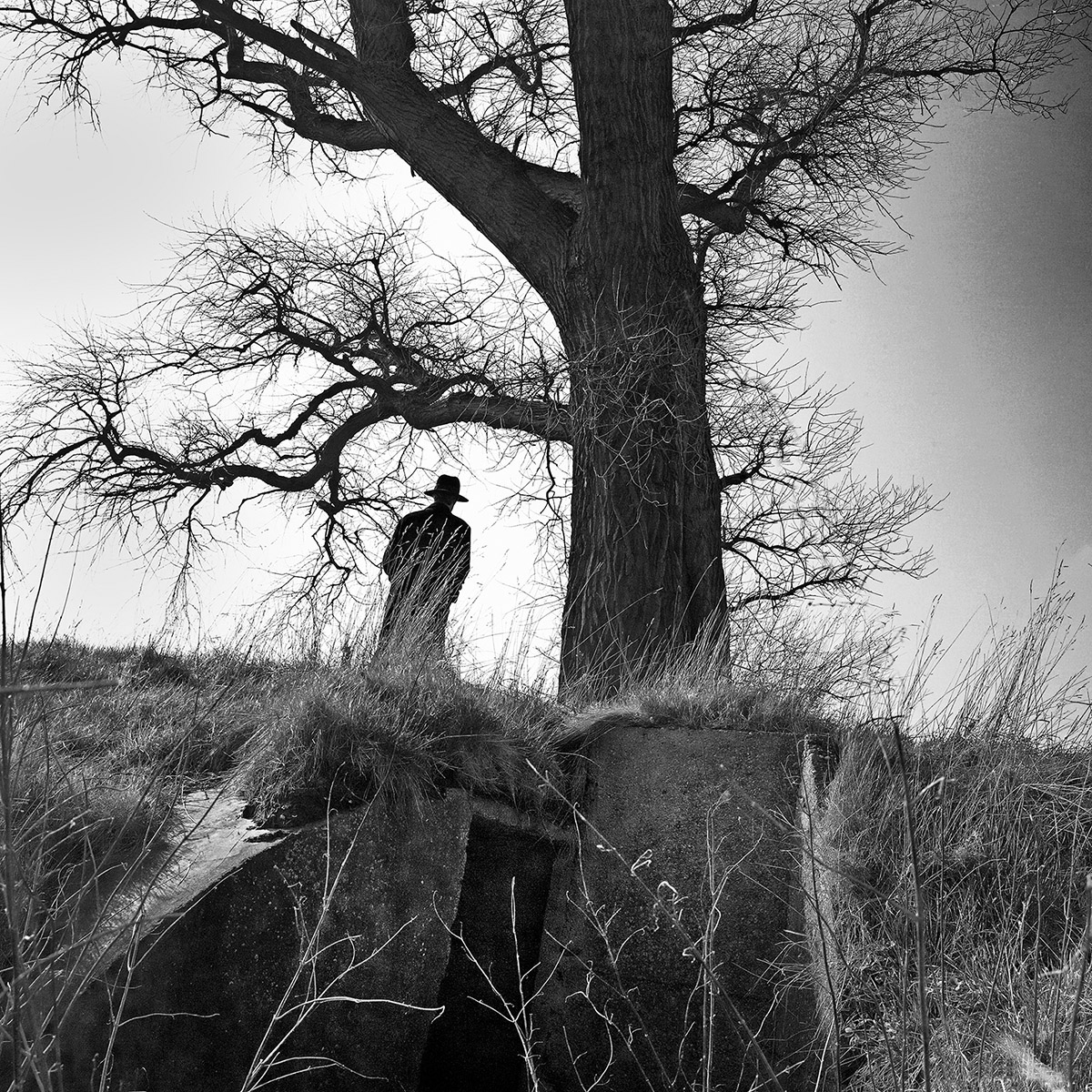 Zwart-Wit .... Alles of niets