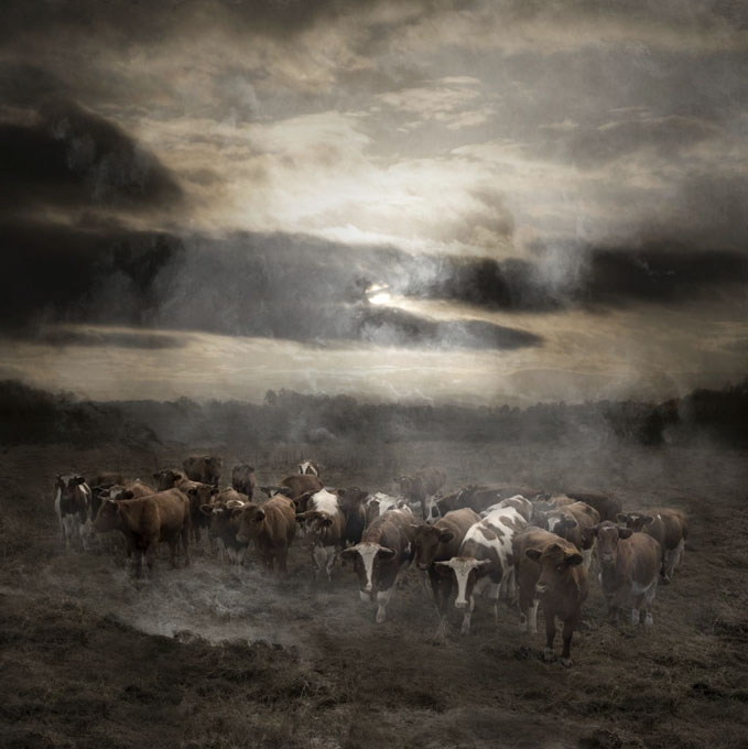 Saskia Boelsums, Landscape Revisited