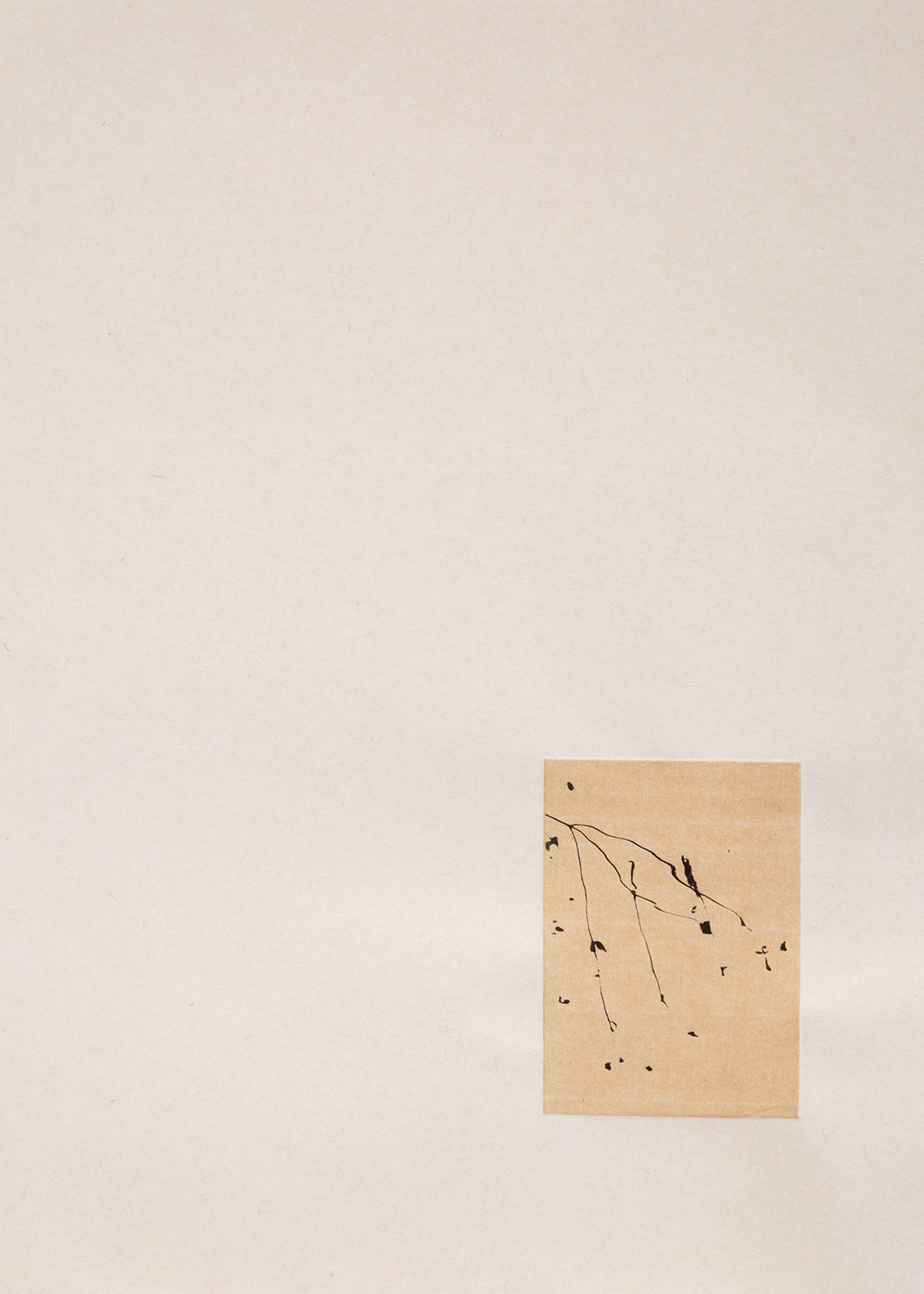 Le Nghi Teng, when the wind meets the water