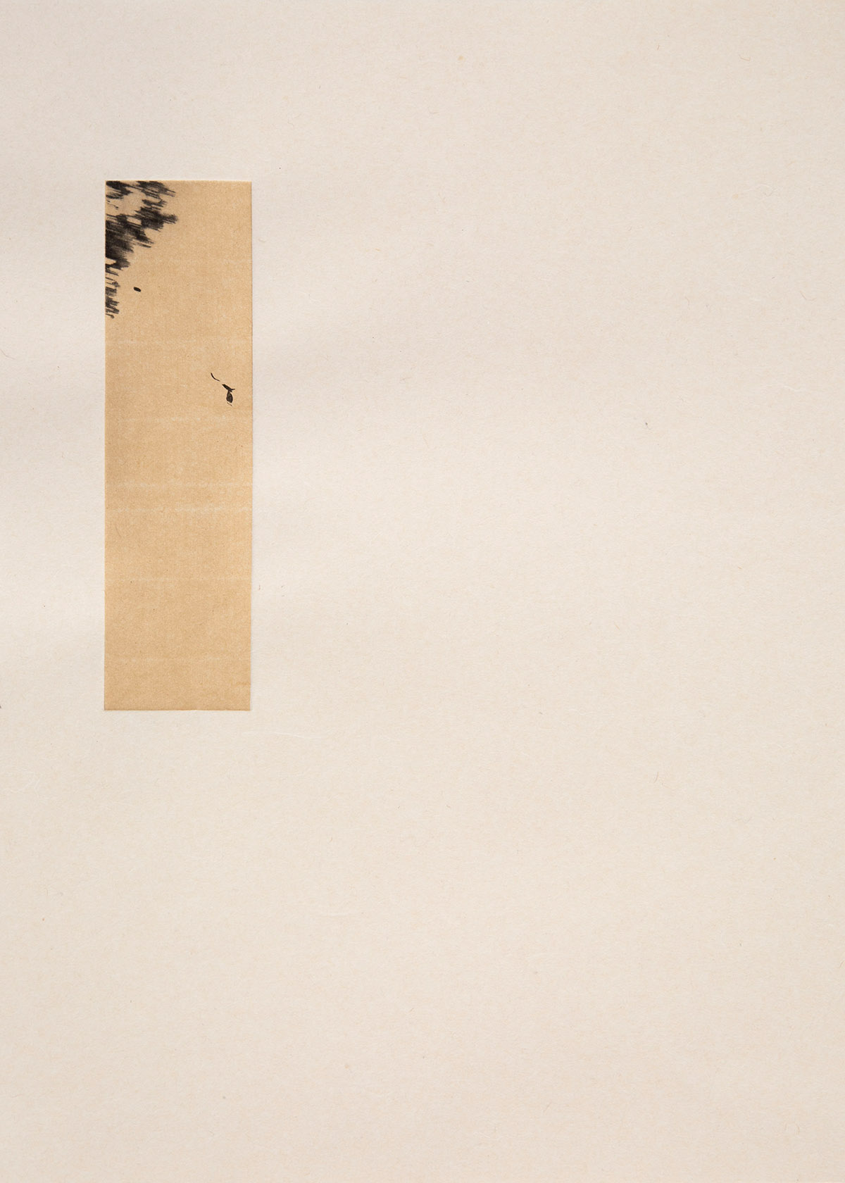 Le Nghi Teng, The leaf and the bird