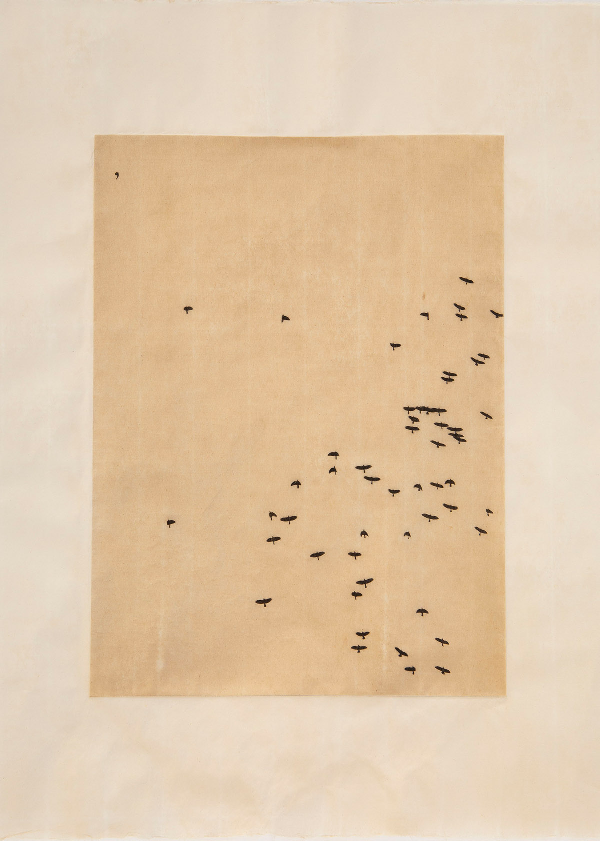 Le Nghi Teng, Breathing the Same Sky