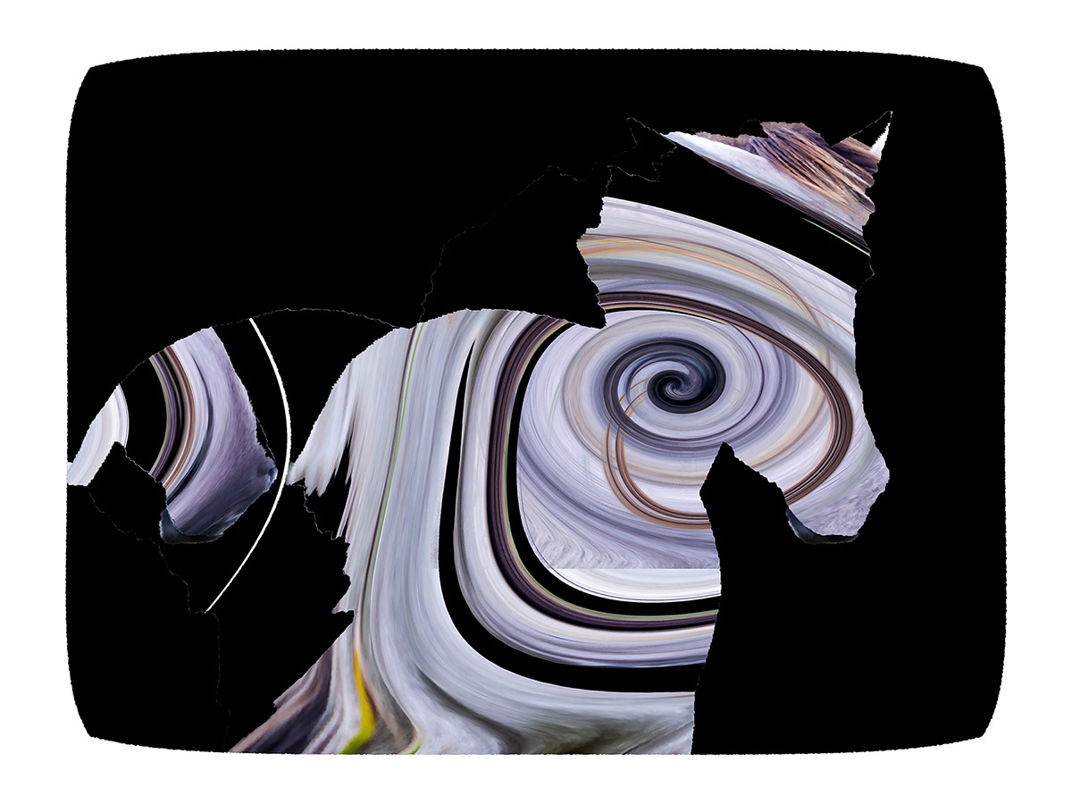 Linda Grool, Wild and Shy