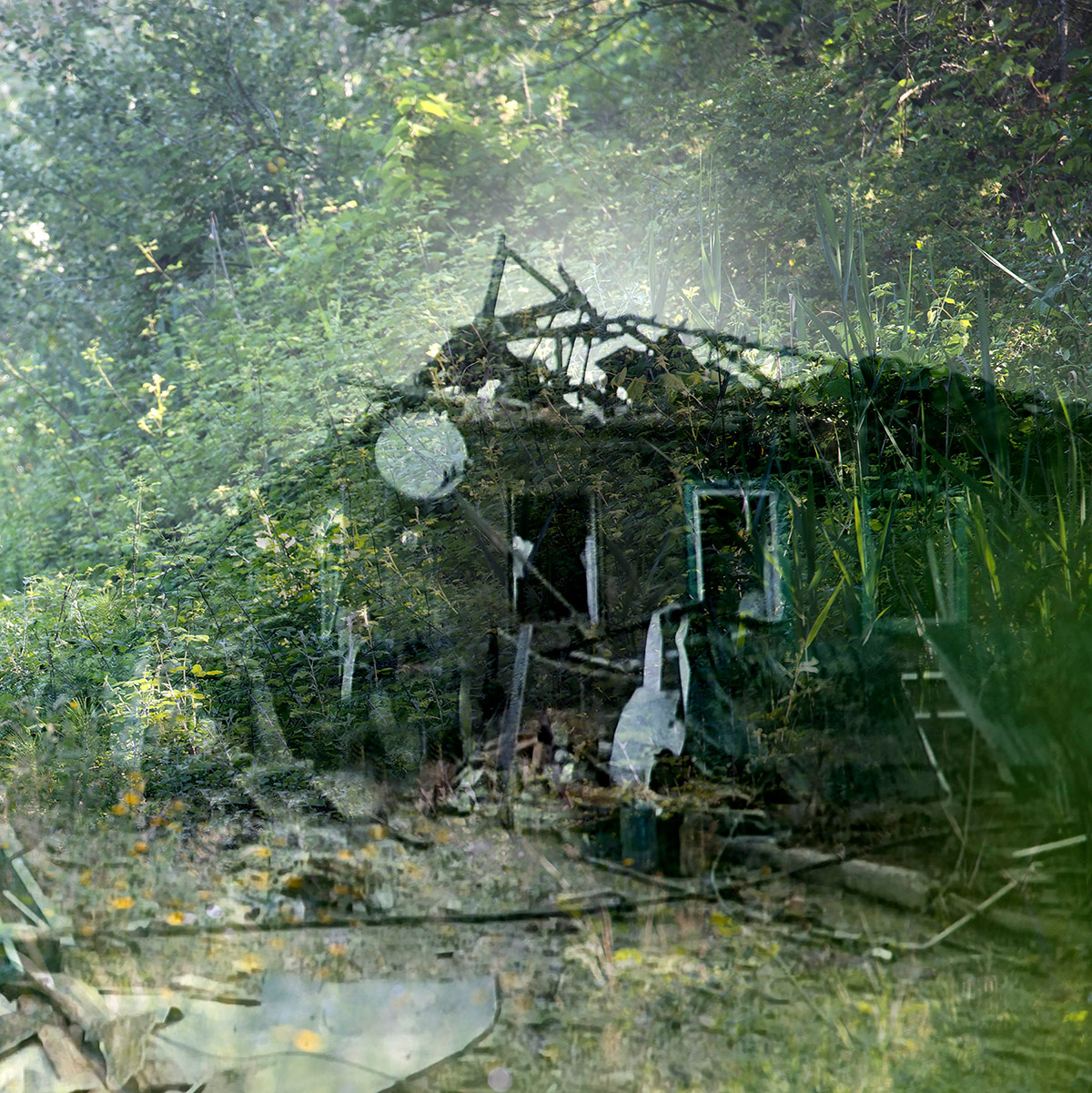 Sabine Heetebrij, No Dear