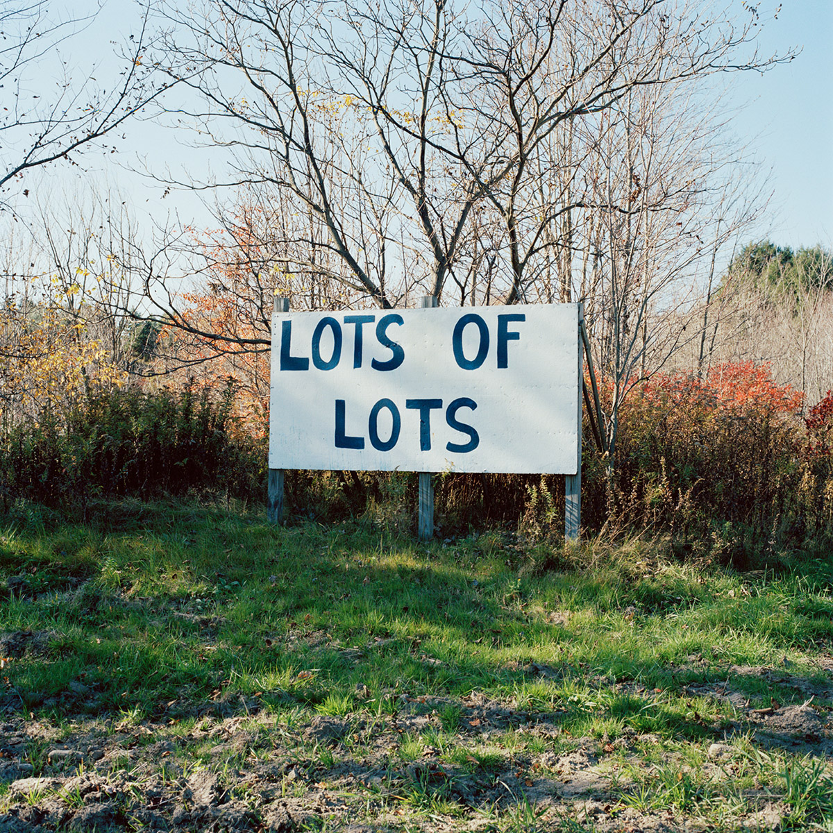 Jason Fulford, Lots Of Lots