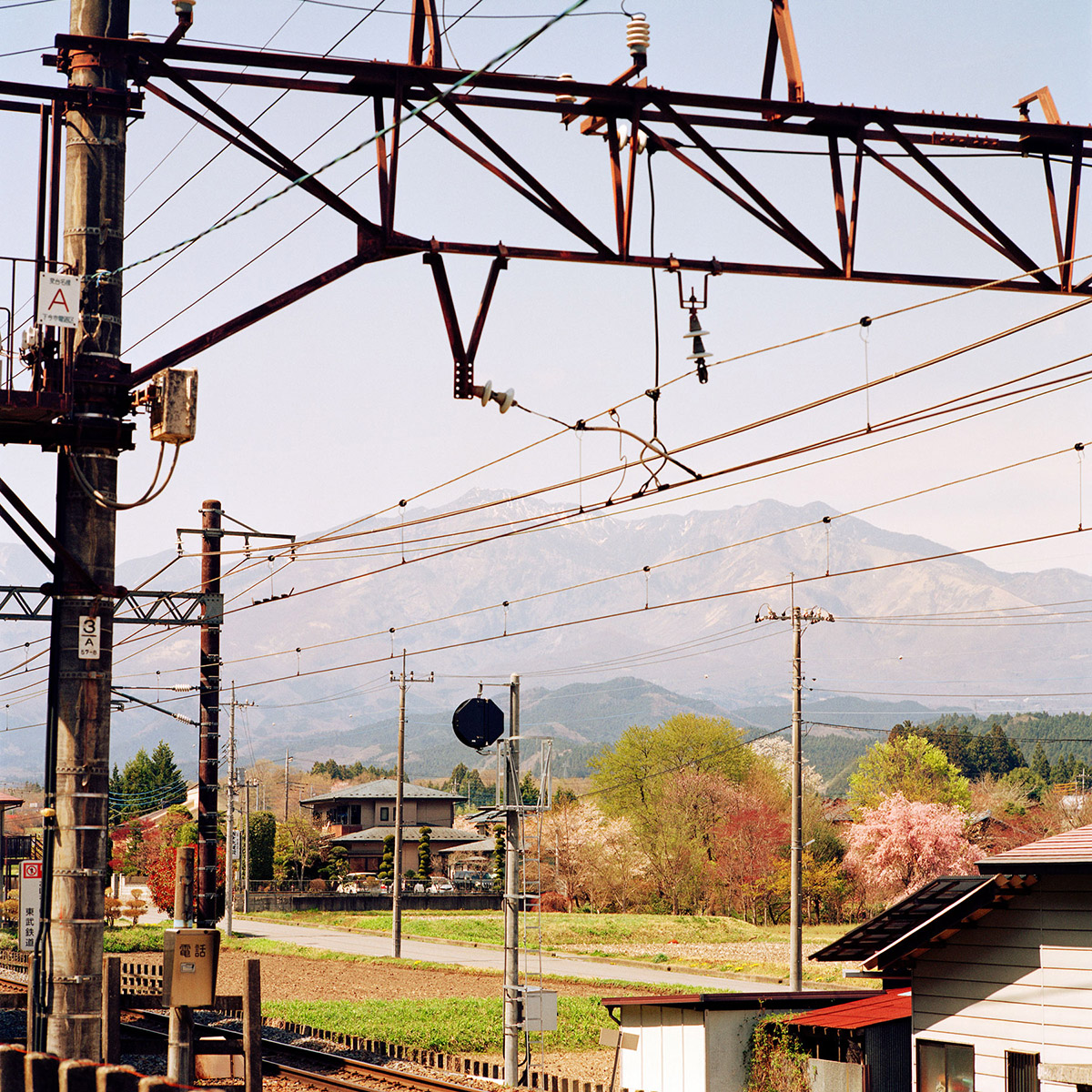 Jacquie Maria Wessels, Fringe Nature #04.4/2018 Nikko, Japan