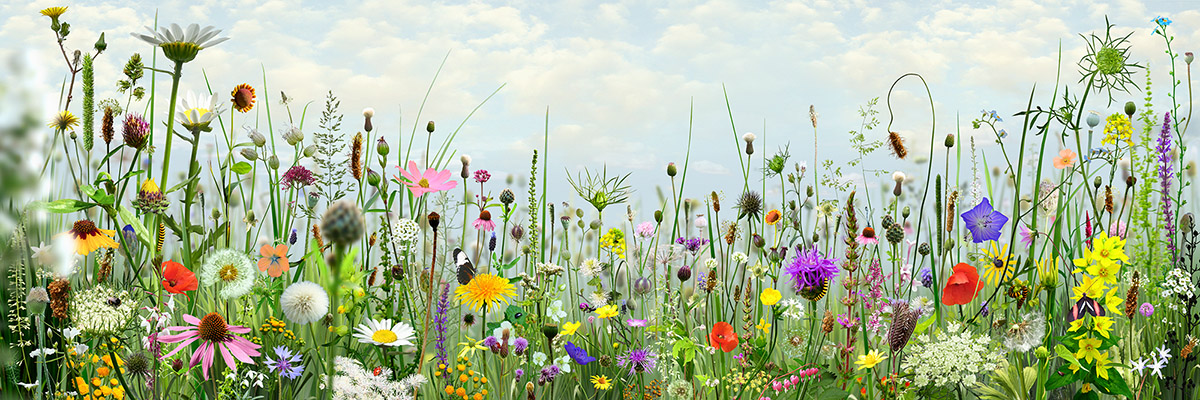 Ruud van Empel, Theater #10, Archival pigment print with plexiglass, 100 x 300 cm, edition of 7, 2019