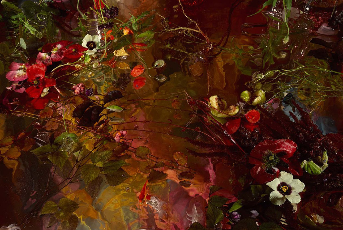 Who loves Red, Yellow and Blue?