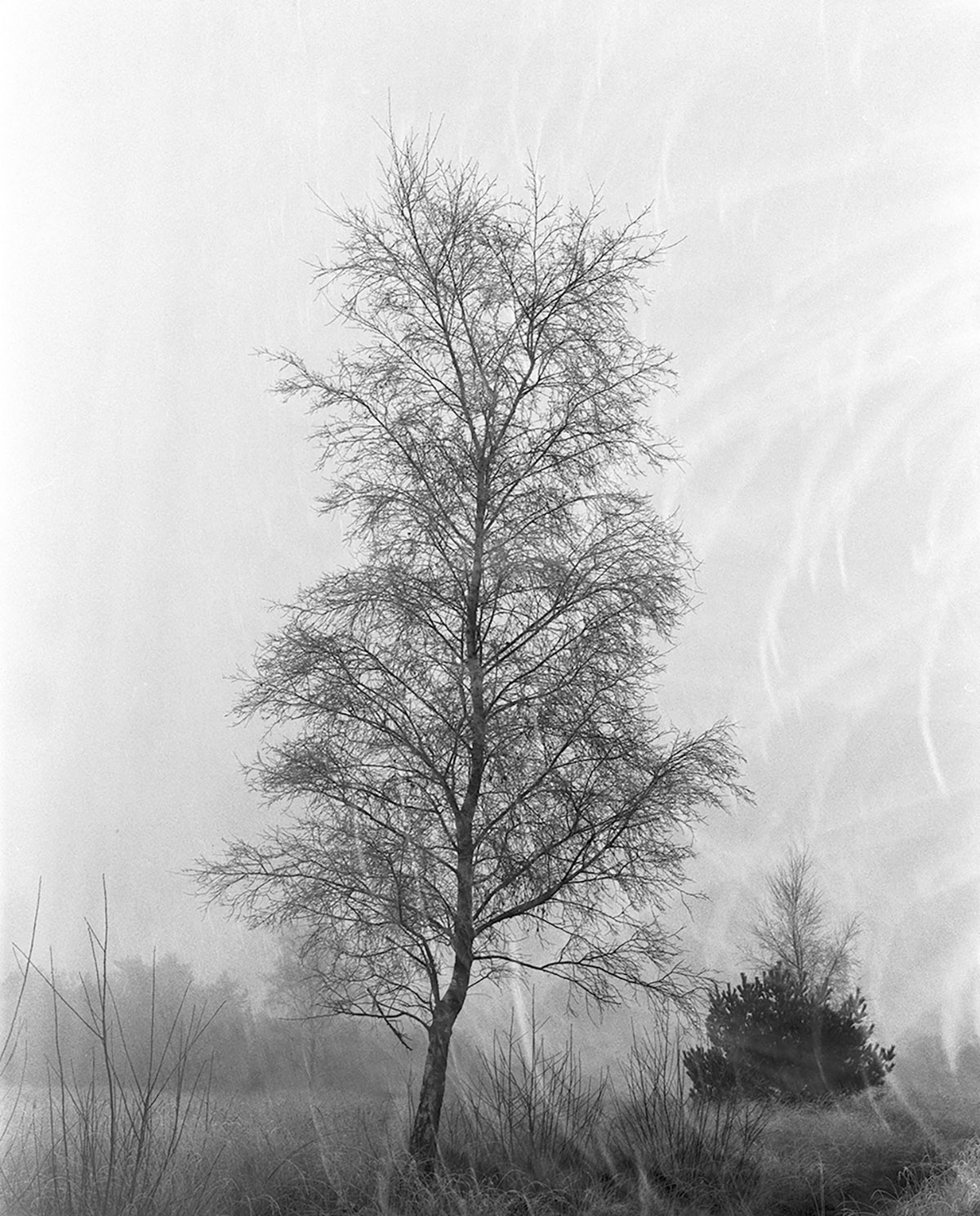 Met Gates to the Garden presenteert Marieke Mulder twaalf jaar na de stilgeboorte van haar dochter een ontroerend en diep persoonlijk verhaal.