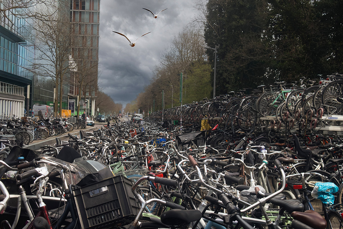Zuid As