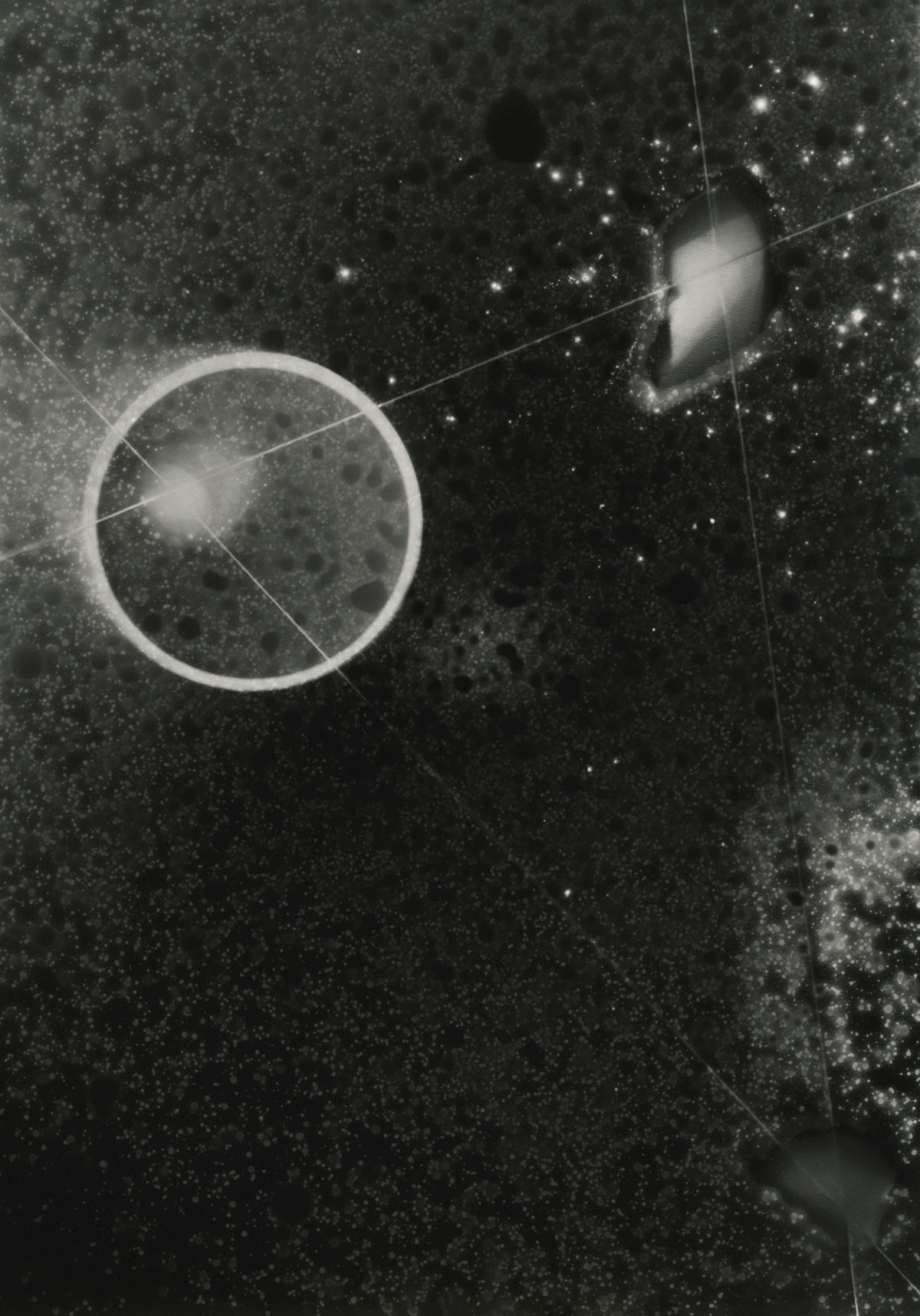 Photogram 041, 2018, Miriam Baans