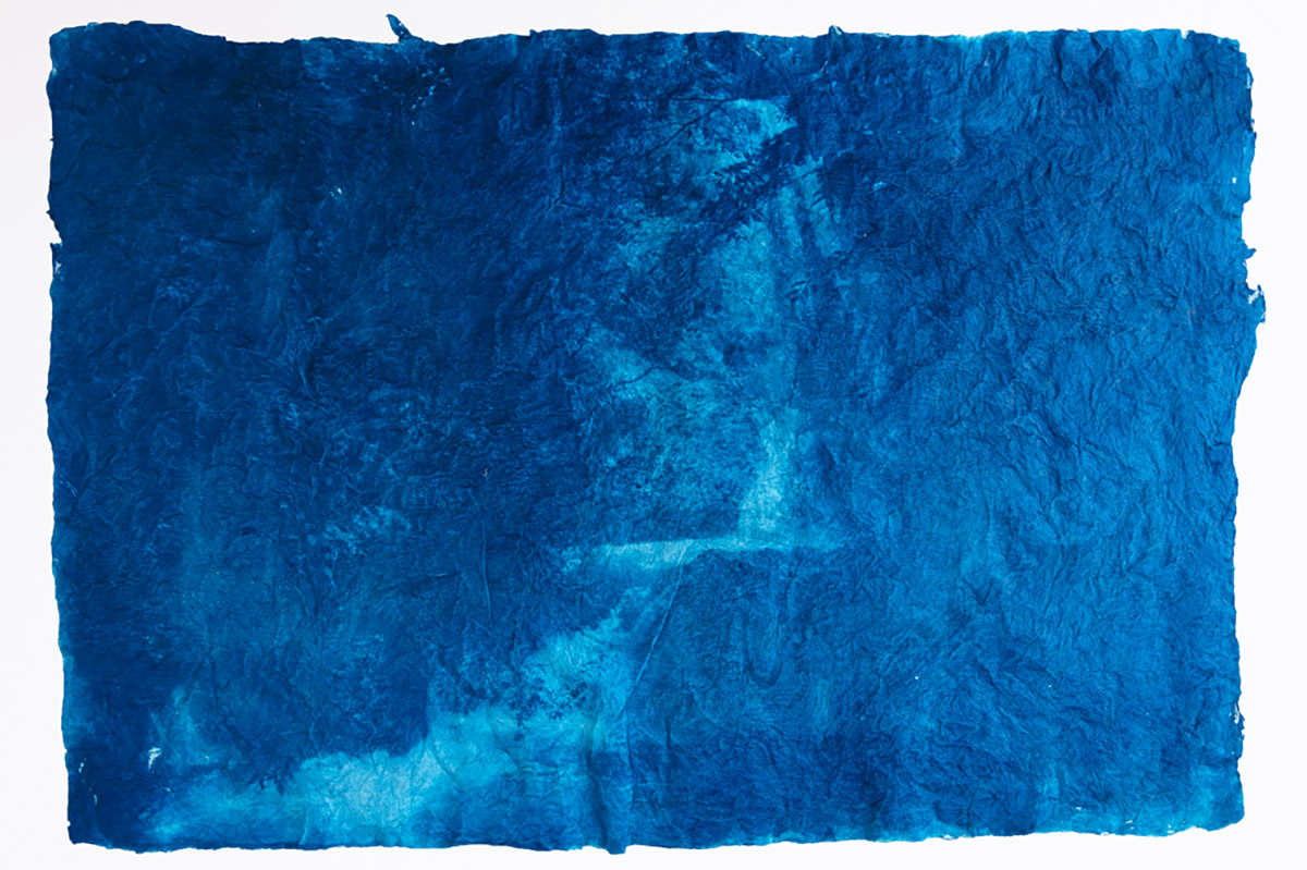 Mika Horie, Legs of crane 2018