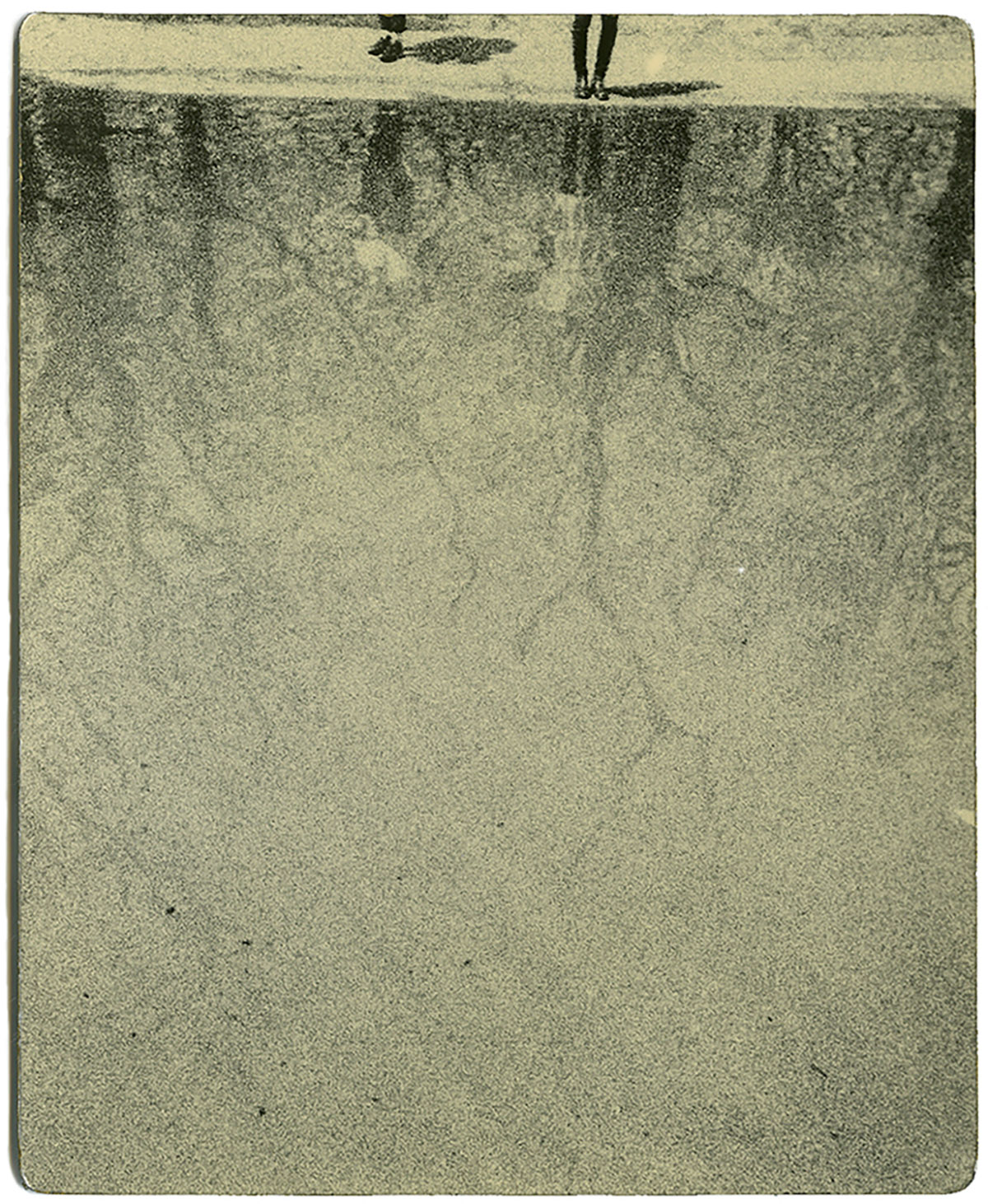 Miho Kajioka, BK0286,2016