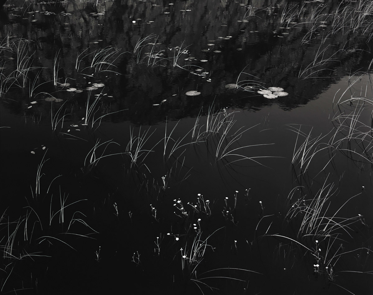 Toshio Shibata, Scotland 1979-022