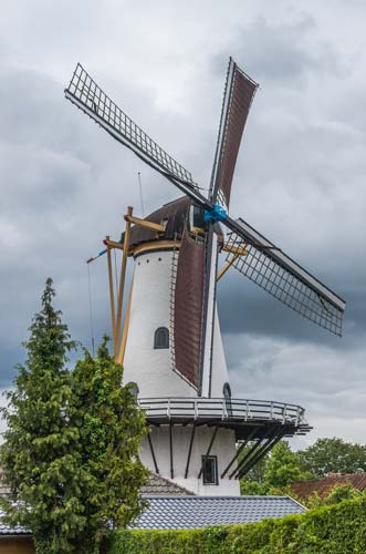 De Werkgroep Natuurfotografie HWL exposeert in het Museum Hoeksche Waard.