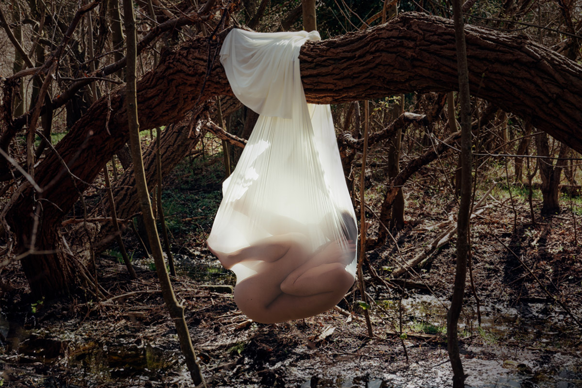 Sonja Mercedes, Realm of ephemeral growth