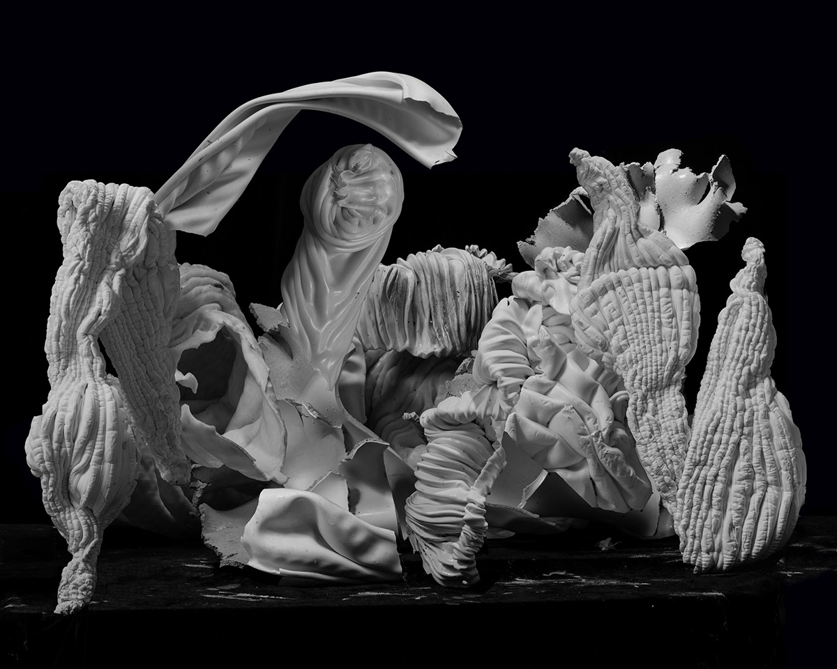 Mesentery, 2018, Nico Krijno, courtesy The Ravestijn Gallery