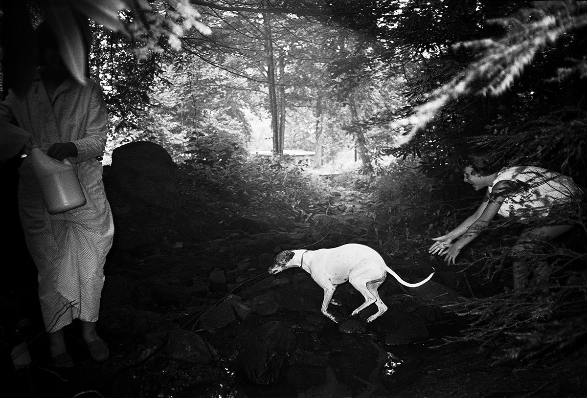 Bertien van Manen, Moonshine, Helen and Camy with dog, Cumberland, 1987