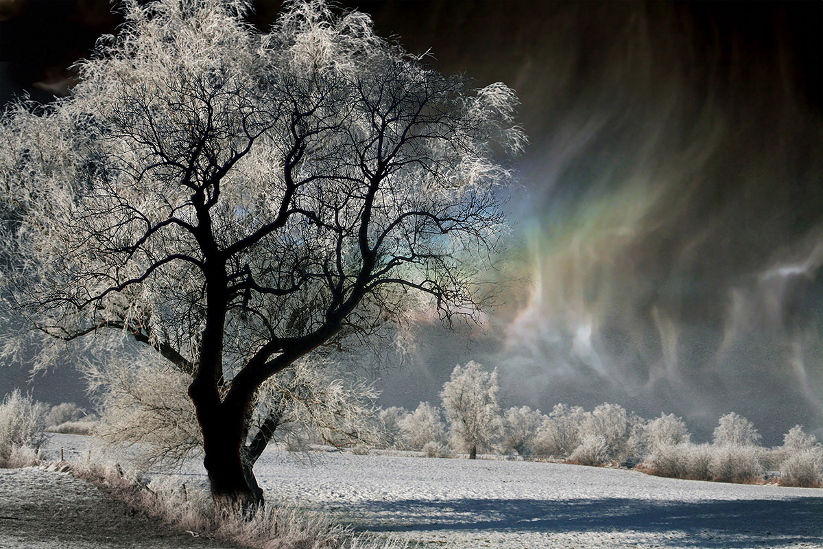 Pieter Leeflang, Steriel