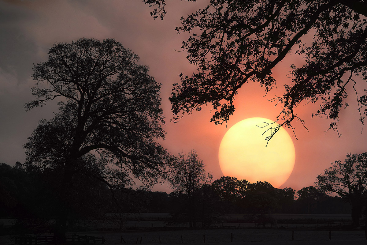 Pieter Leeflang, Het is de vraag