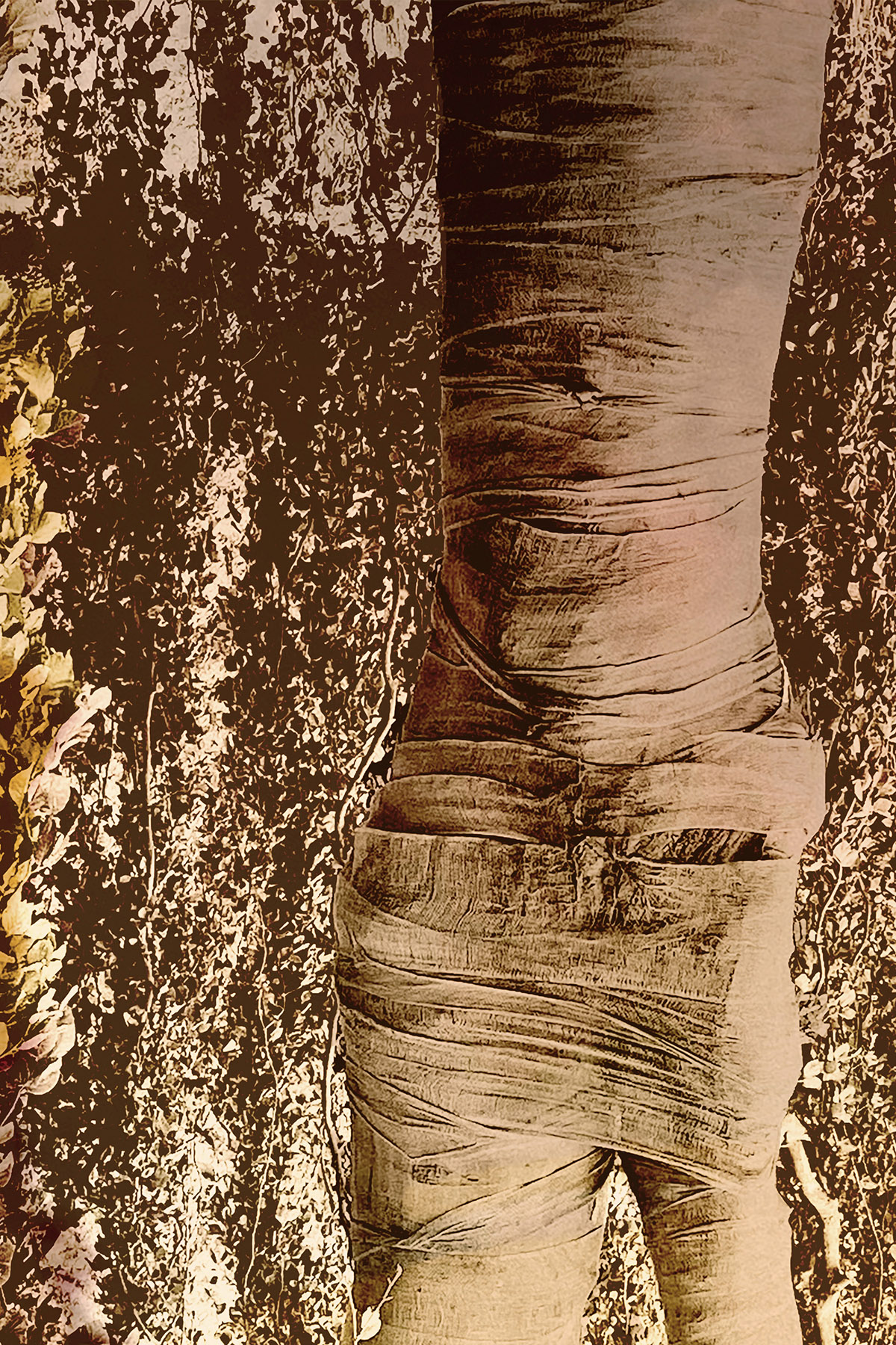 Linda Grool en Sabine Heetebrij (LenS Fotografie), Cure