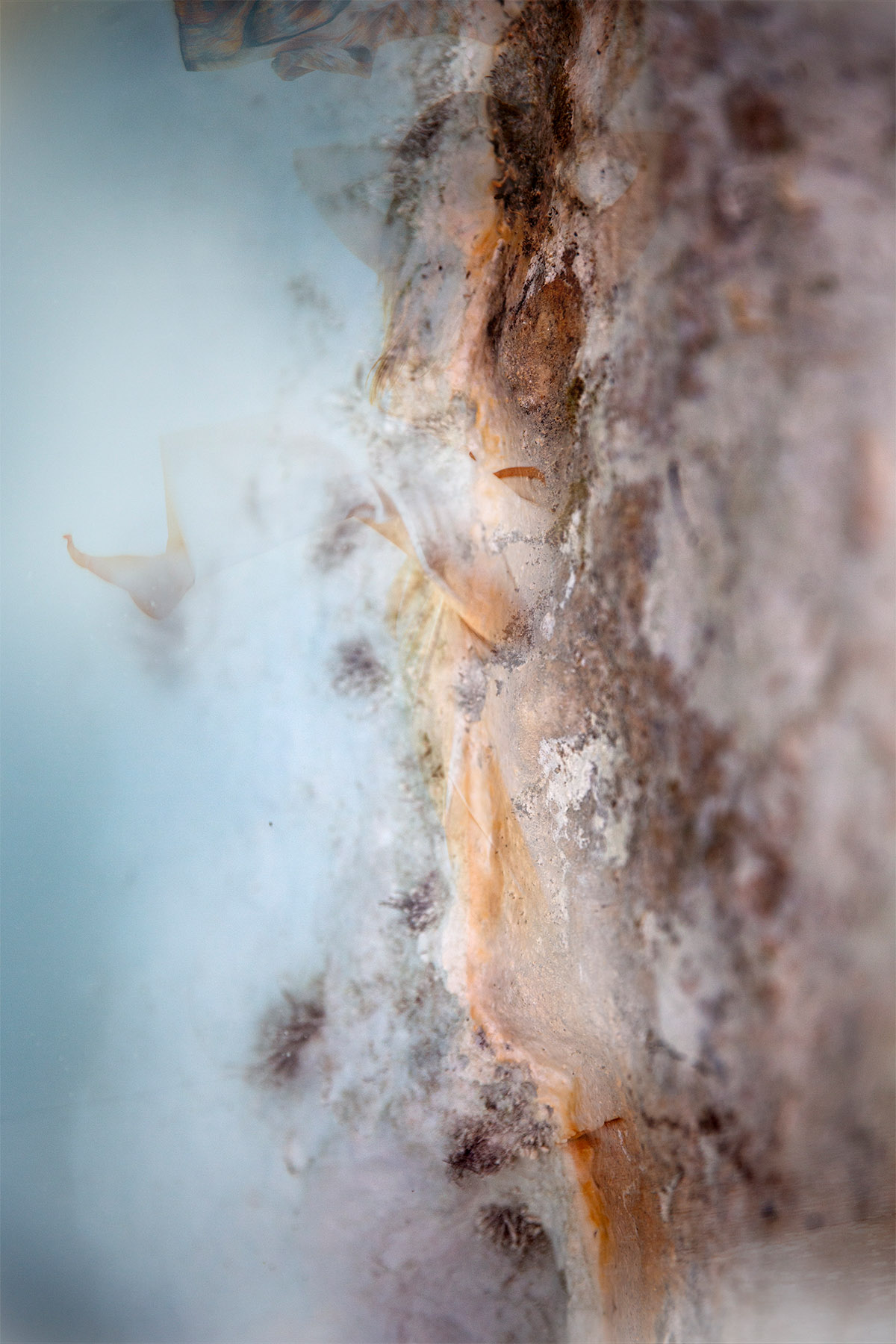 Linda Grool en Sabine Heetebrij (LenS Fotografie), Friendly takeover