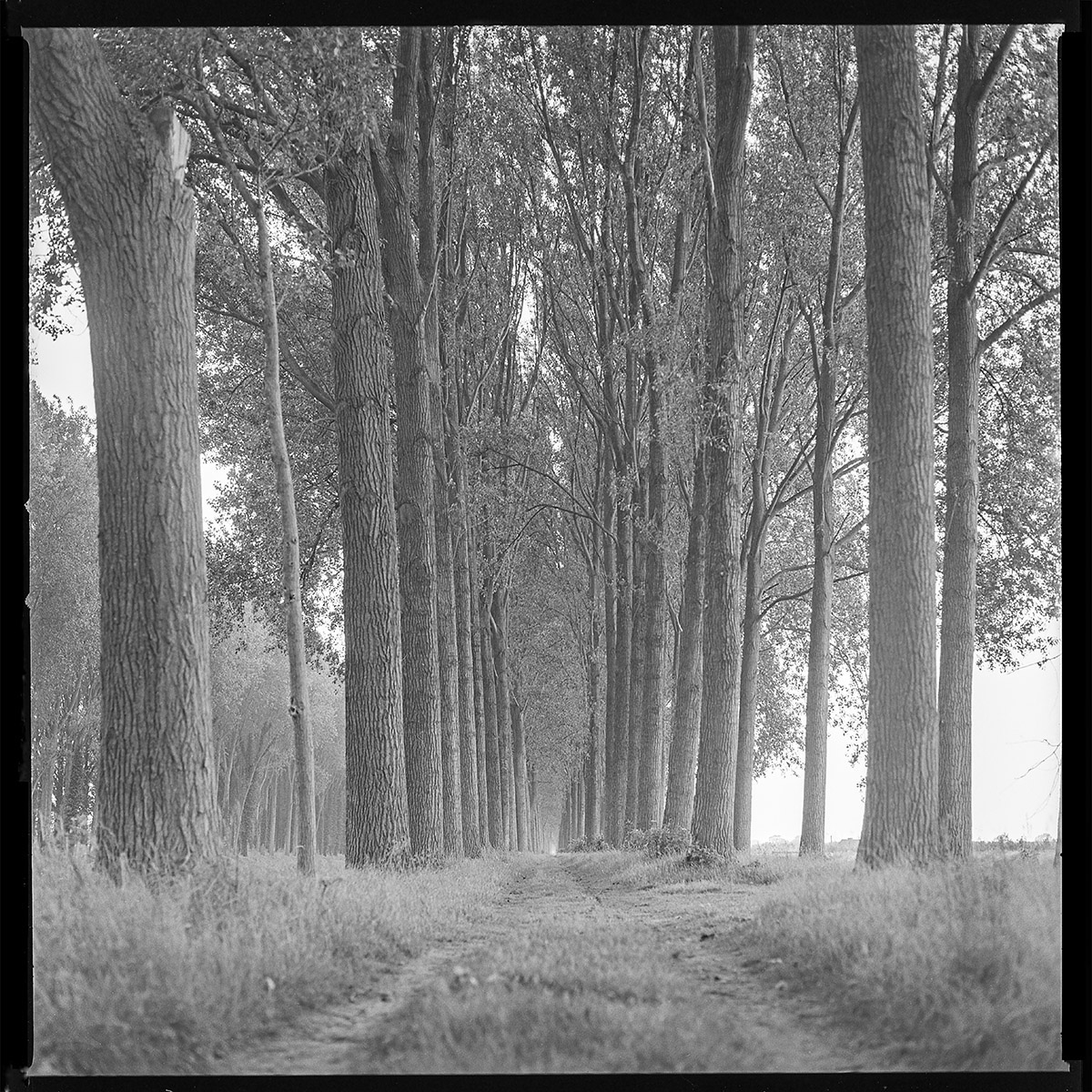 Hugo De Cnodder en Eddy Maus maakten jarenlang fotoprojecten op verschillende natuurlocaties in Zeeland en Vlaanderen.