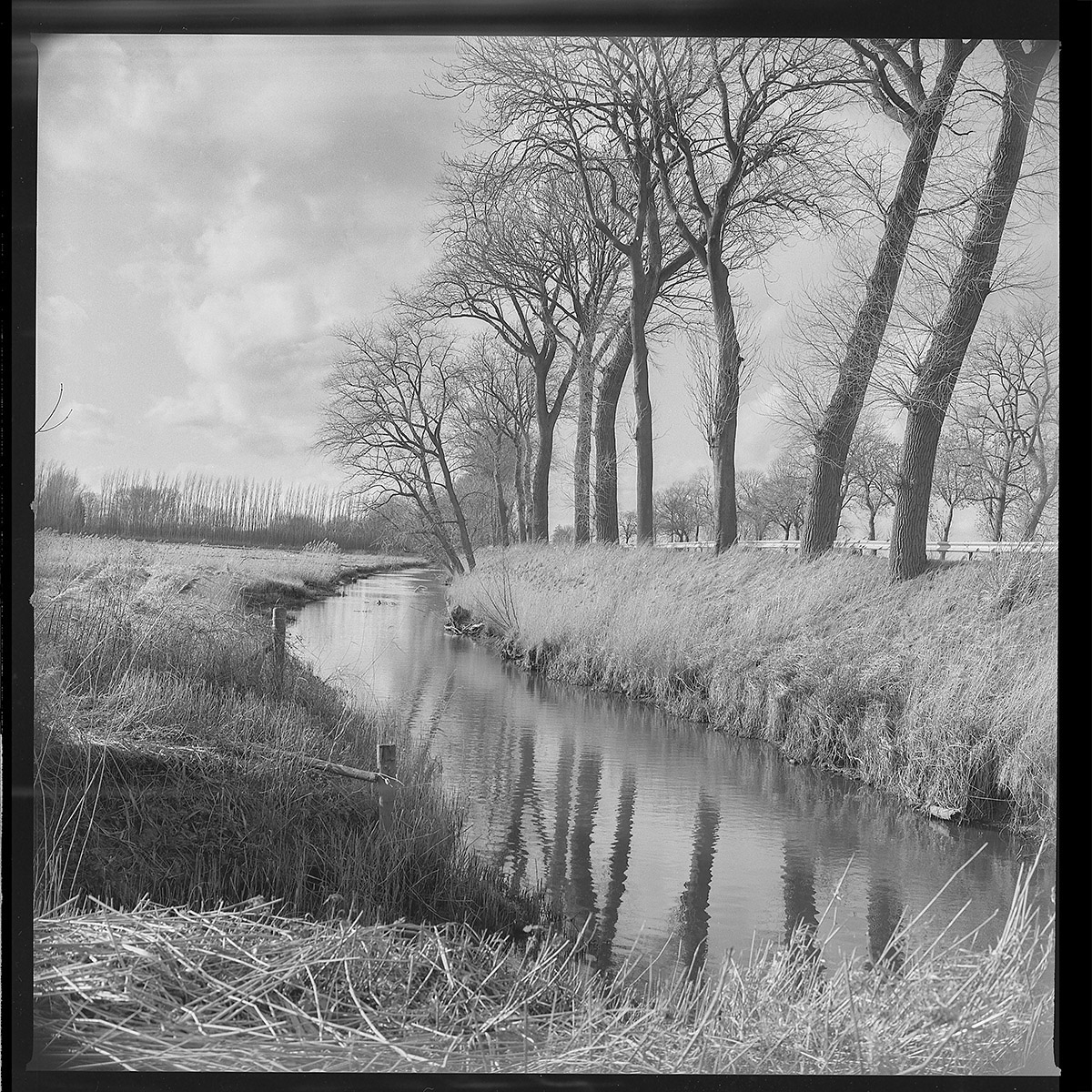 Hugo De Cnodder en Eddy Maus, Voetafdrukken op het jaagpad