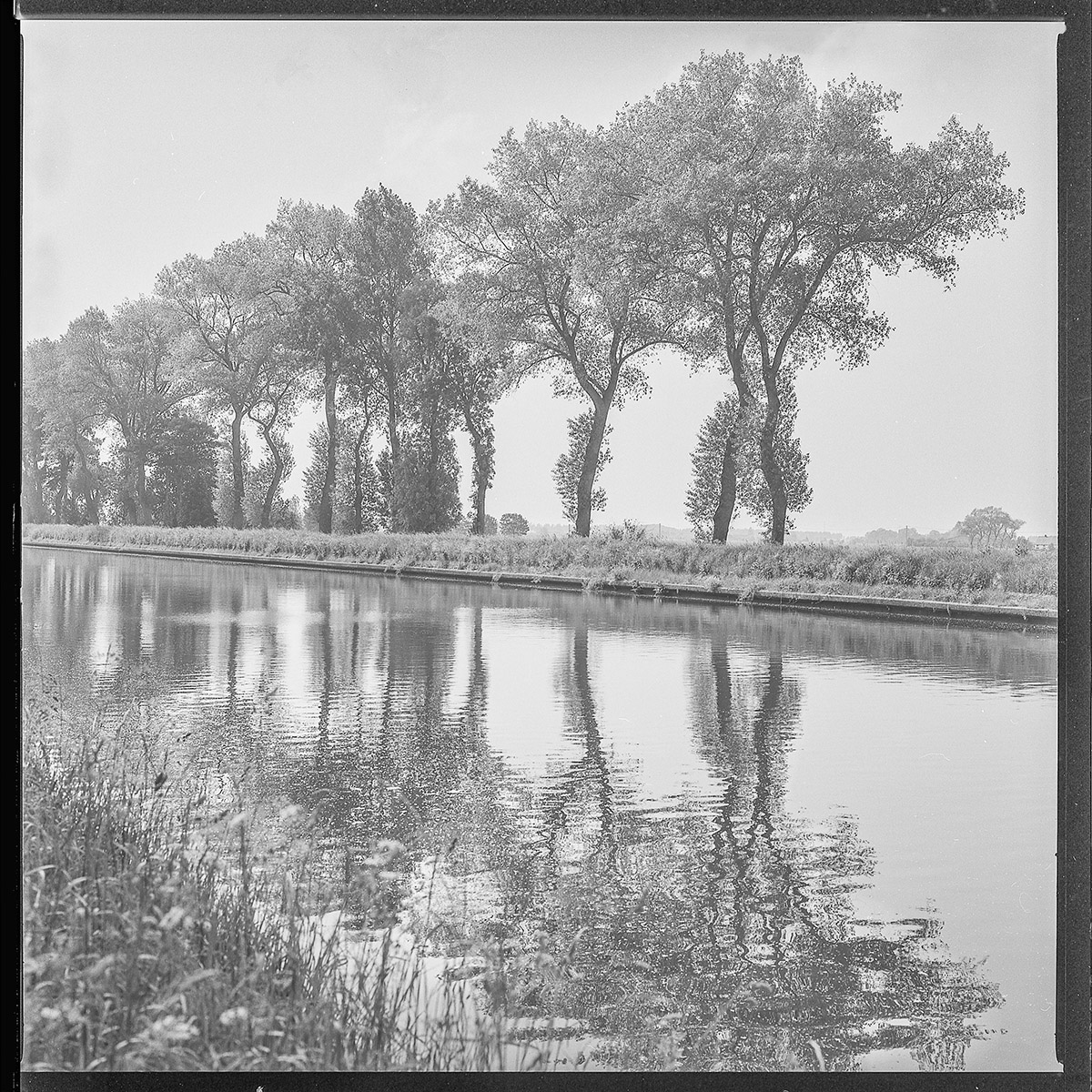 Hugo De Cnodder en Eddy Maus, Voetafdrukken op het jaagpad
