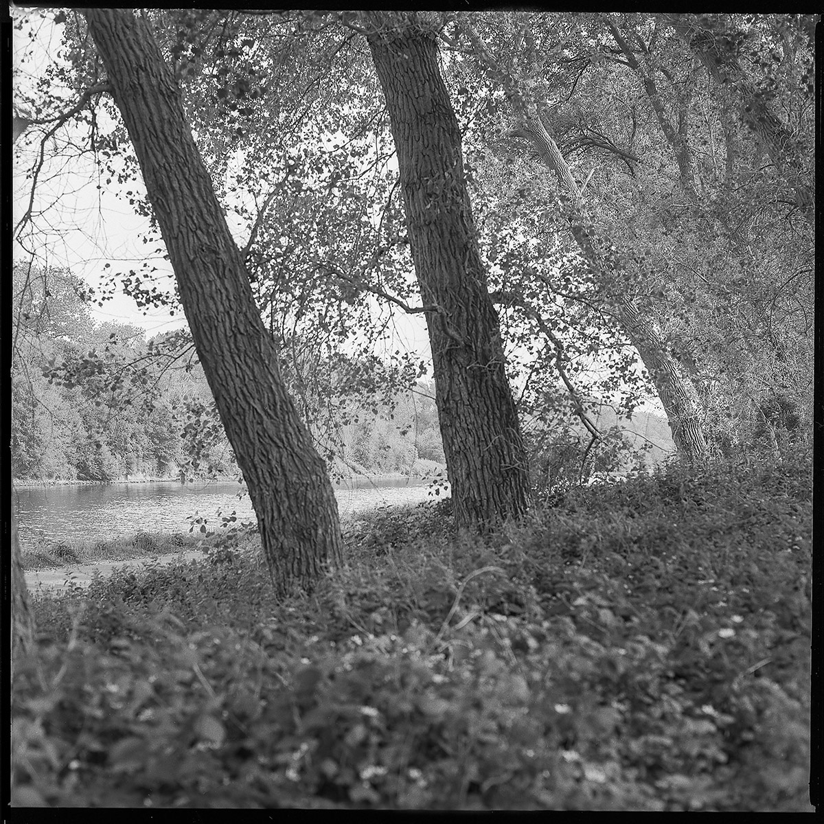 Hugo De Cnodder en Eddy Maus, Voetafdrukken op het jaagpad