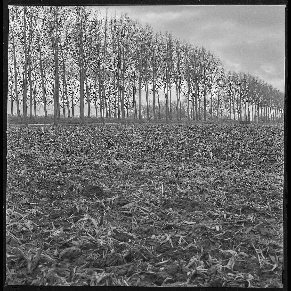 Hugo De Cnodder en Eddy Maus, Voetafdrukken op het jaagpad