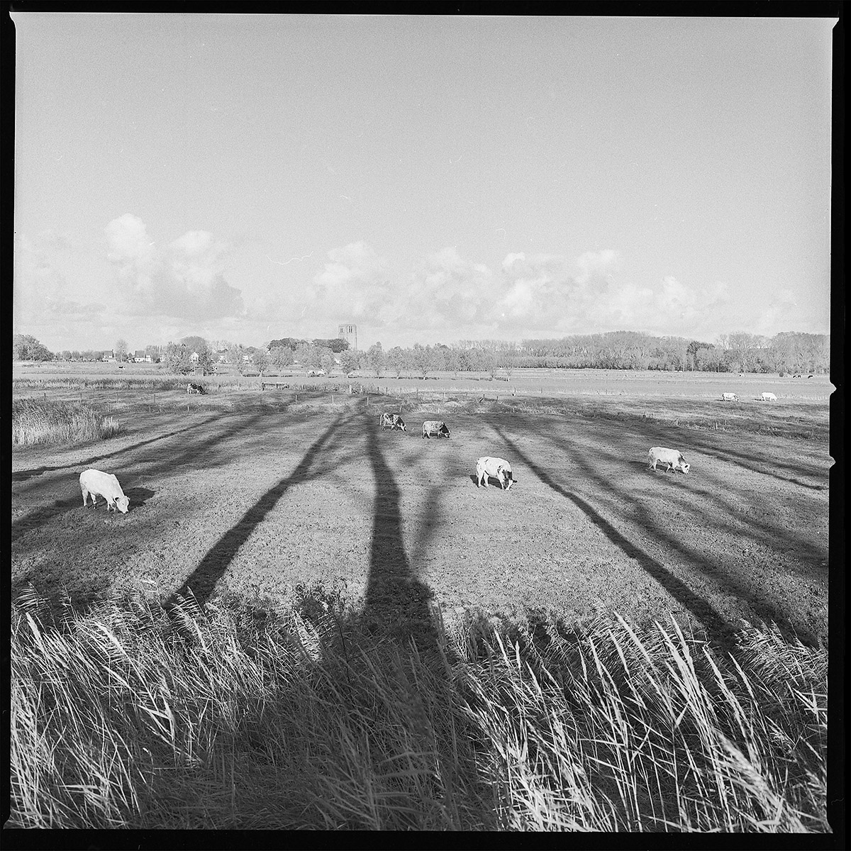 Hugo De Cnodder en Eddy Maus, Voetafdrukken op het jaagpad