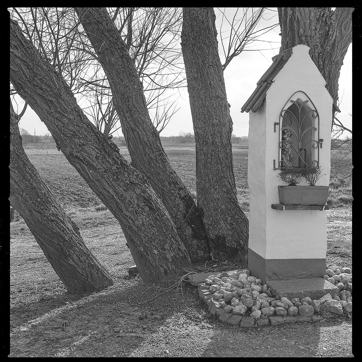 Hugo De Cnodder en Eddy Maus, Voetafdrukken op het jaagpad