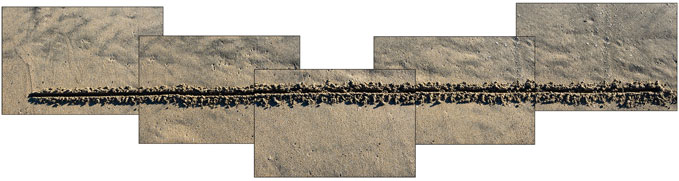 Michel Szulc Krzyzanowski, Estero el tomate, 2016