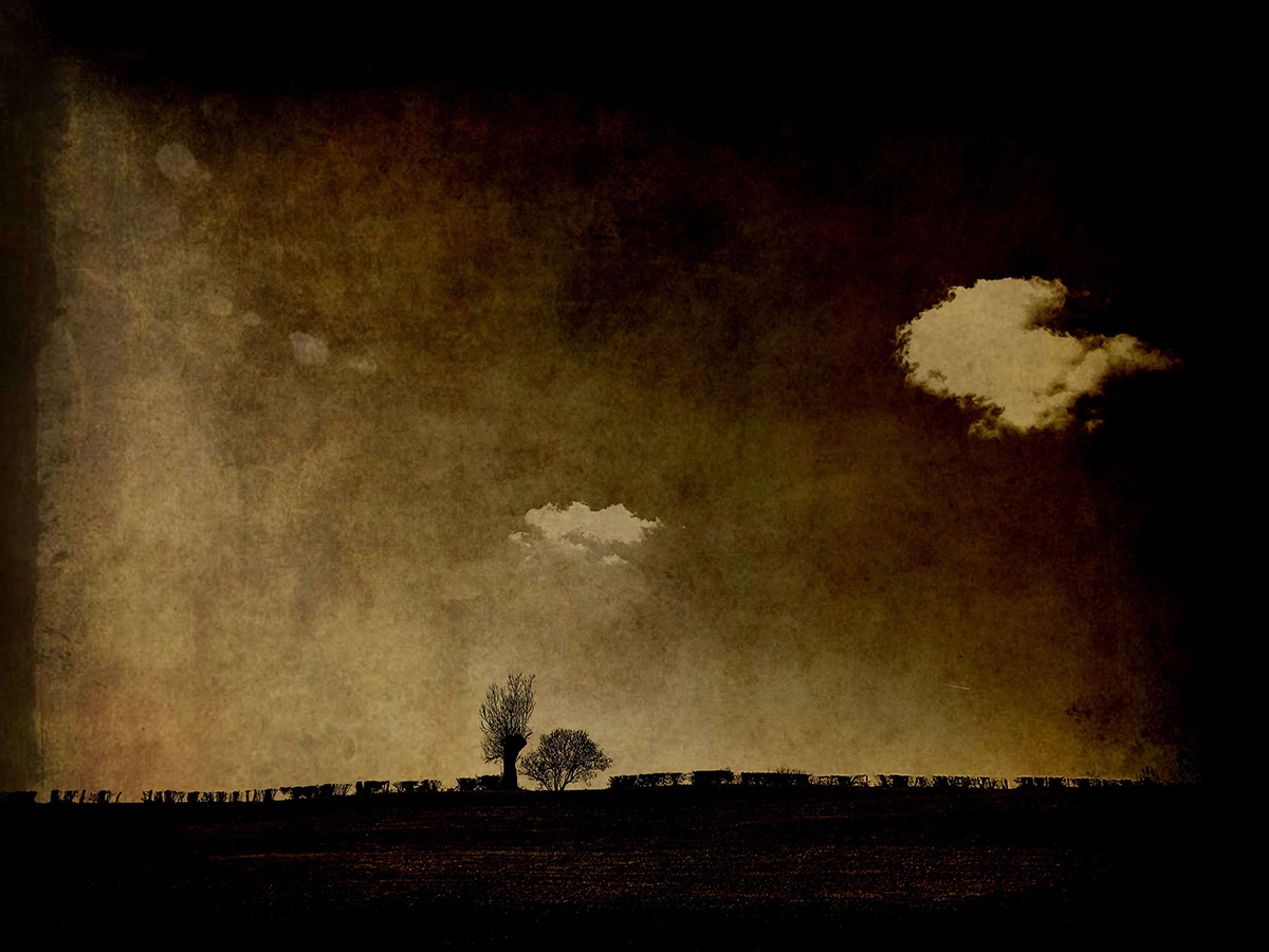 Véronique Niël, Donkere Landschappen - Heldere Horizonten