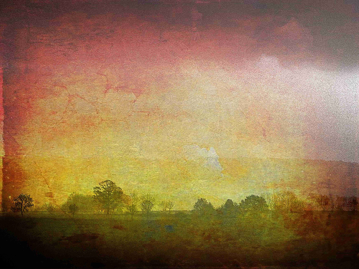 Véronique Niël, Donkere Landschappen - Heldere Horizonten