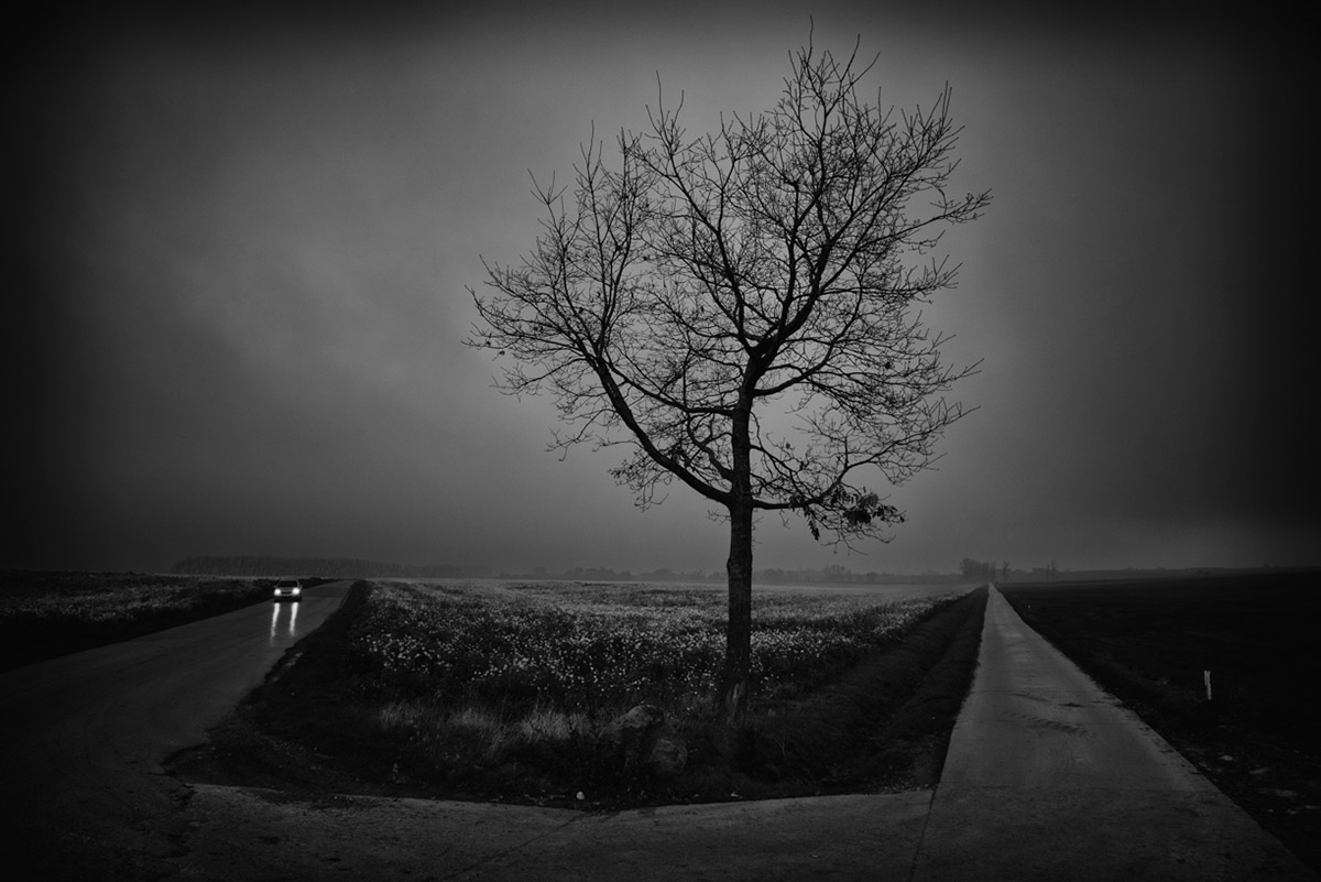 Eddy Verloes, Hold back the night