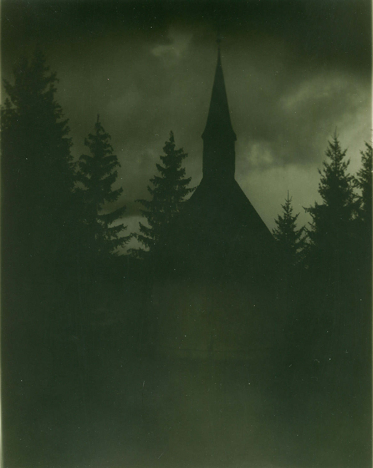 Mark van Hattem, Nocturne im Wald
