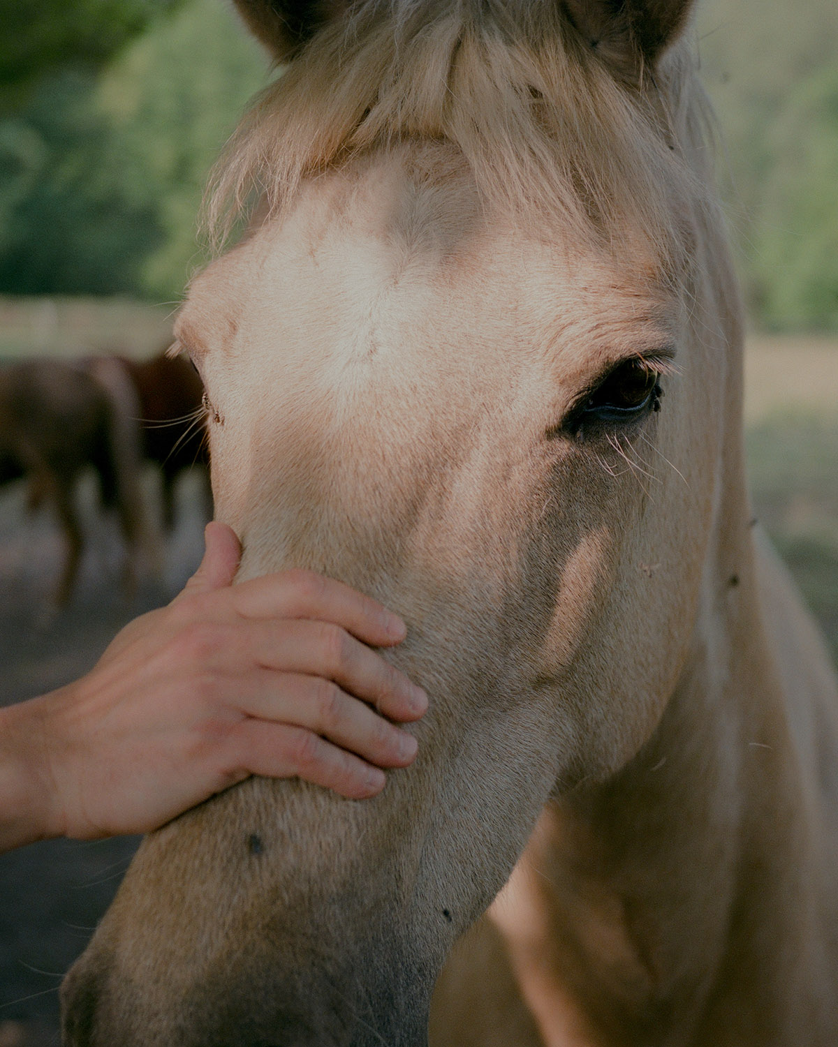 Matthieu Litt, From the series Oasis, 2023