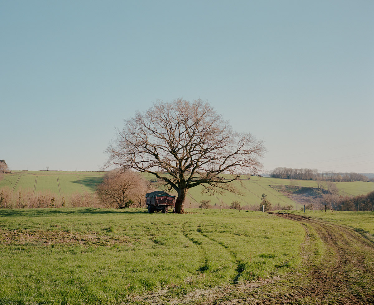 Matthieu Litt, From the series Oasis, 2023