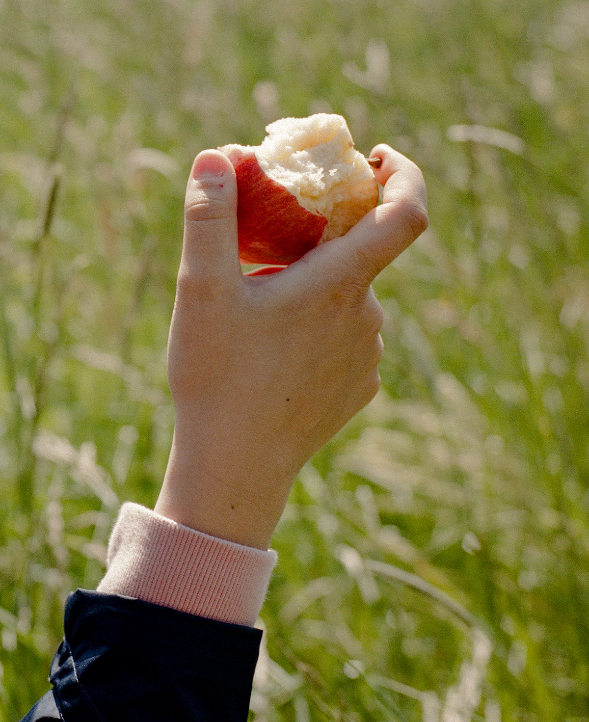 Matthieu Litt, From the series Oasis, 2023