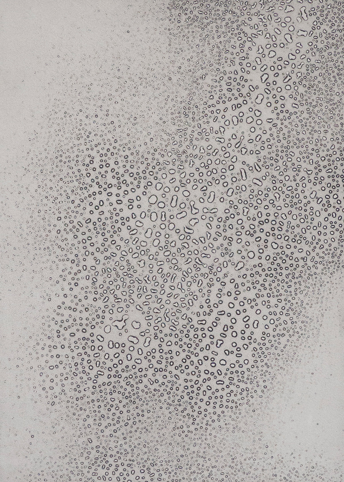 Tjitske Oosterholt, TTHOTRW - Drops and Eye Web ( trying to hold on to running water)