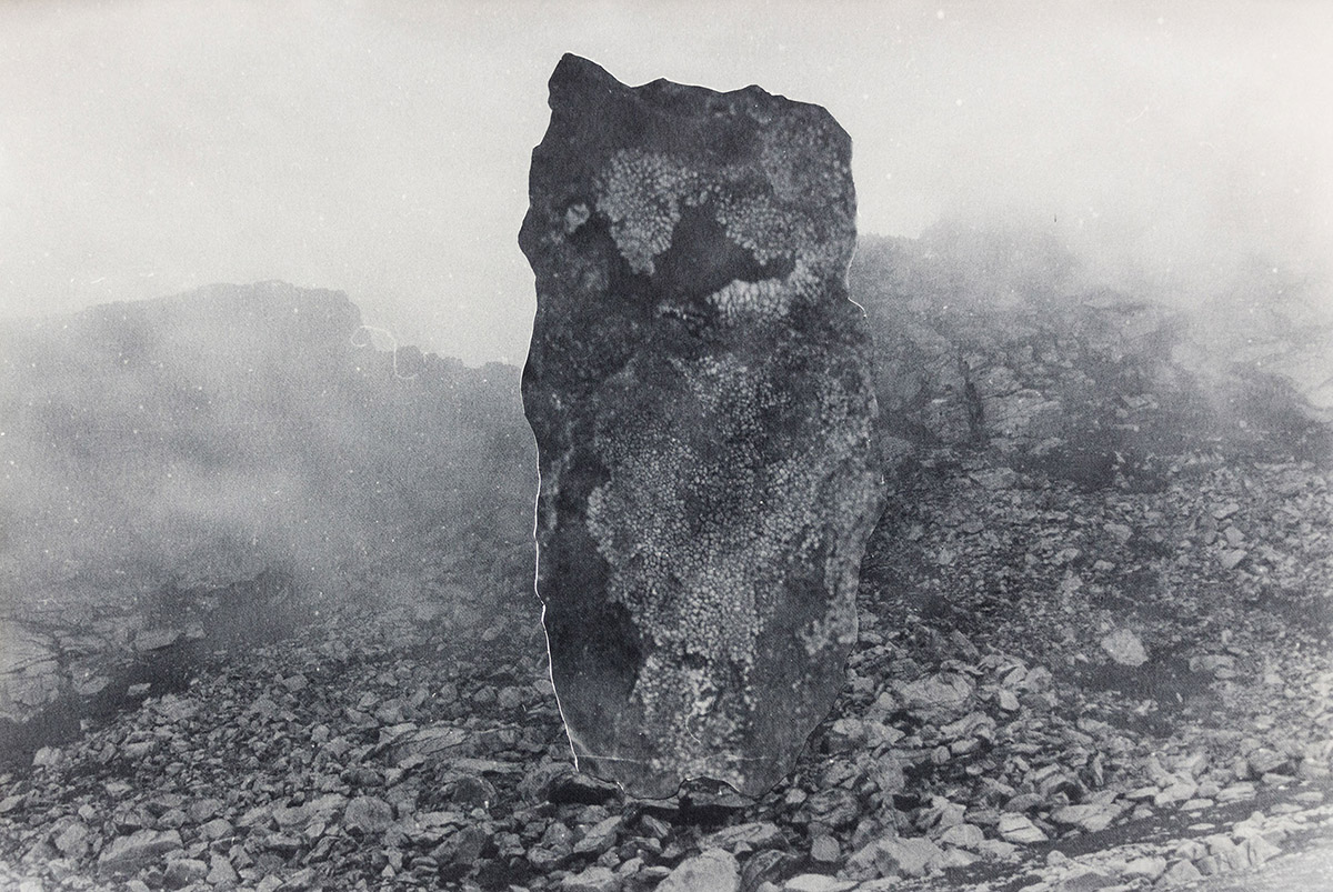 Silvia De Giorgi, An encounter
