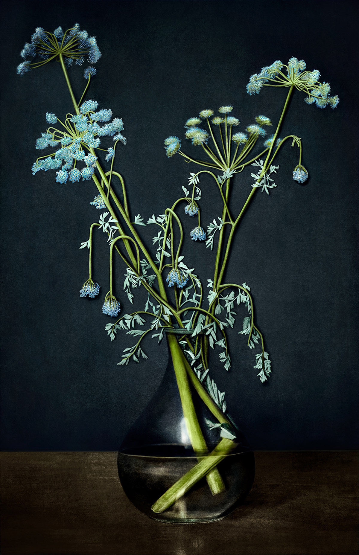 Justine Tjallinks, Still #1 (Cow Parsley In Vase), 2021