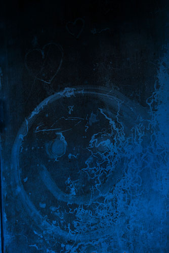 Patricia de Ruijter, The Rise of the Fall