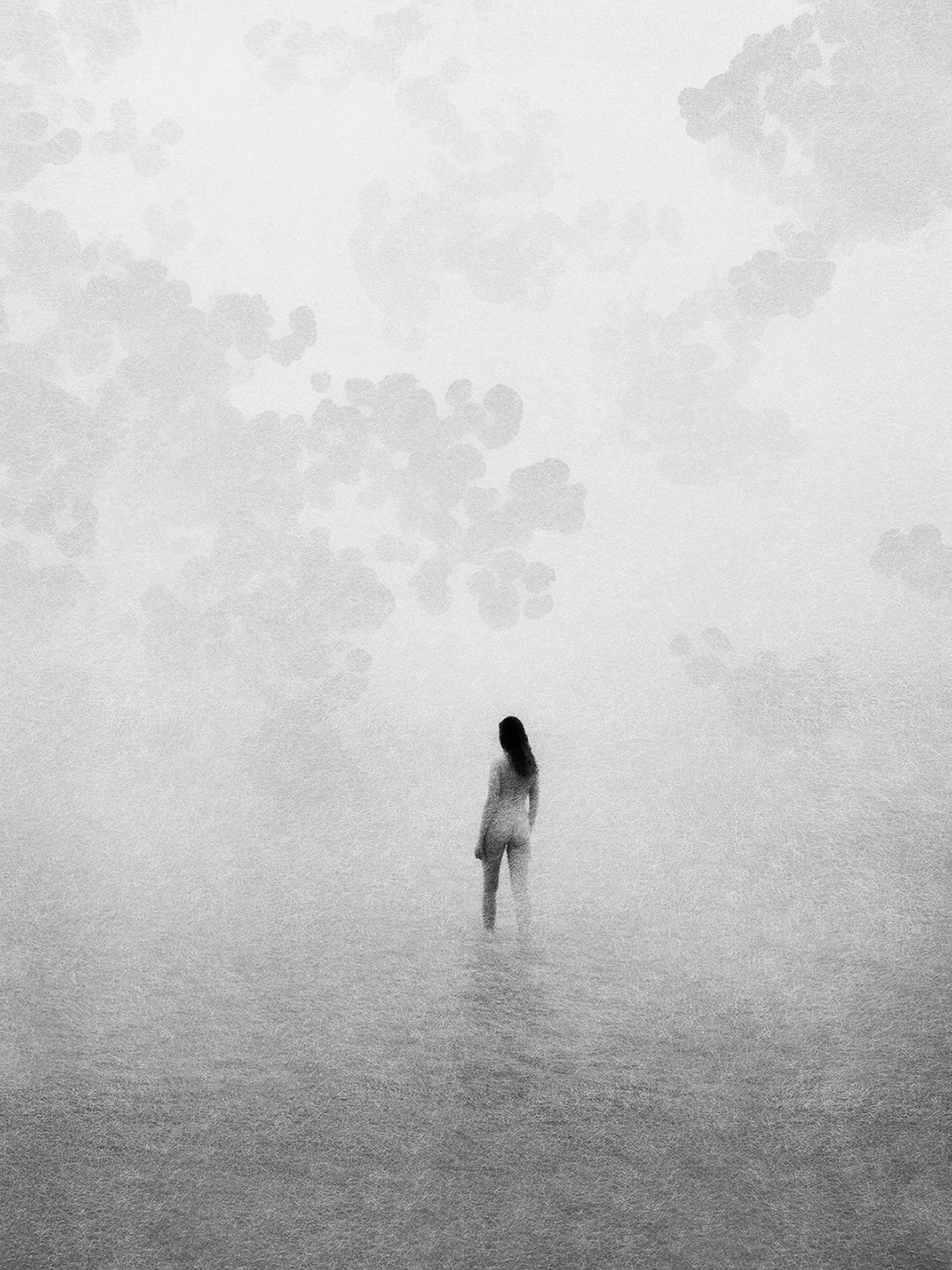 Paul Cupido, Hakanai Hakuji, 2024